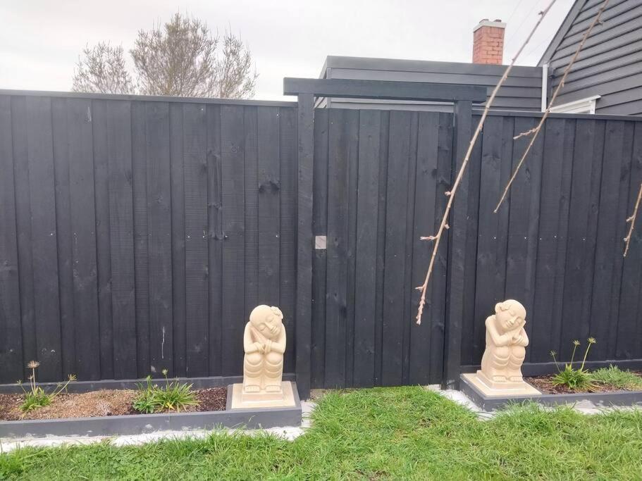 Zen Out On Surrey * Alfredton